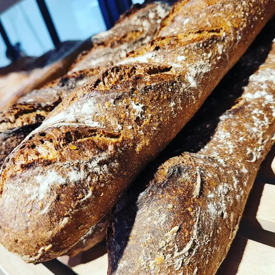 Baguettes tradition dorées sortant du four